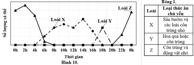 Đề thi thử THPT Quốc gia môn Sinh học