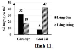 Đề thi thử THPT Quốc gia môn Sinh học