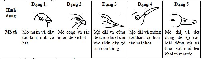 Đề thi thử THPT Quốc gia môn Sinh học
