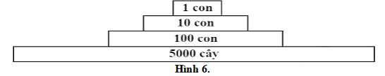 Đề thi thử THPT Quốc gia môn Sinh học