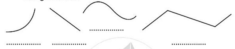 Vở bài tập Toán lớp 2 Bài 97: Ôn tập về hình học và đo lường (trang 97) | Cánh diều