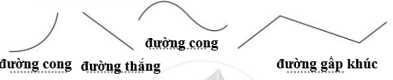 Vở bài tập Toán lớp 2 Bài 97: Ôn tập về hình học và đo lường (trang 97) | Cánh diều