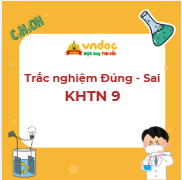 Trắc nghiệm Đúng Sai Cơ năng