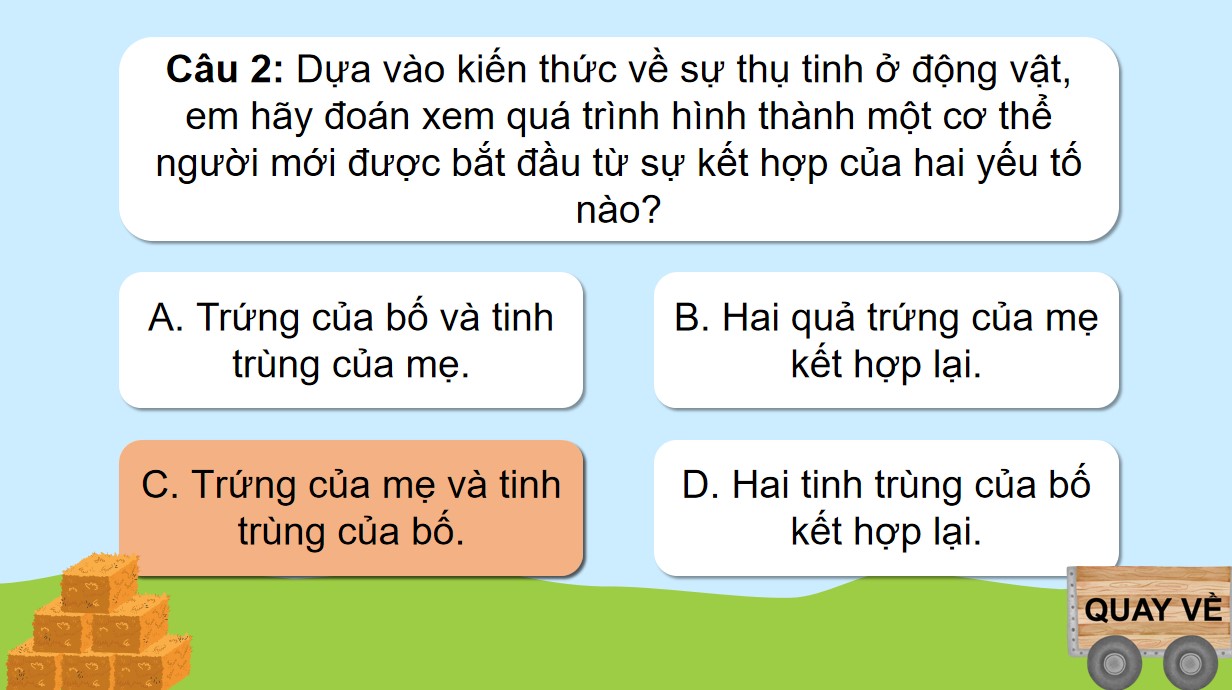 tro choi khoa hoc 5 bai 22 4*911188