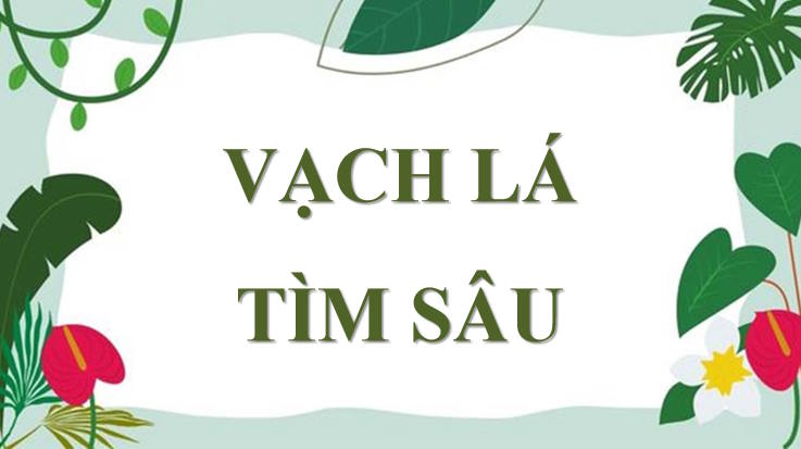 Trò chơi khởi động Giáo dục công dân 7 Bài 3