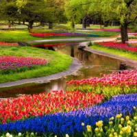 Giáo án Tiếng Việt 3 Bài 3: Nghe - viết Lễ hội hoa nước Ý