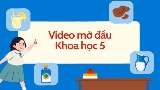 Video mở đầu Khoa học 5 (AI) - Cả năm
