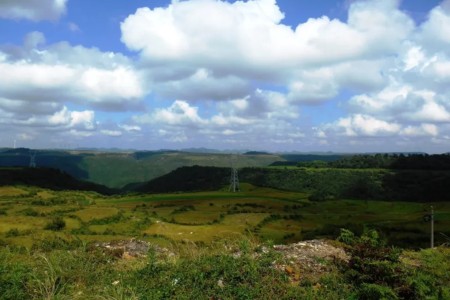 thao nguyen 3*912071