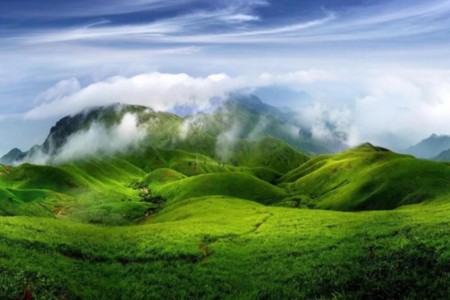 thao nguyen 5*912068