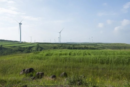 thao nguyen 6*912069