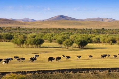 thao nguyen 8*912070