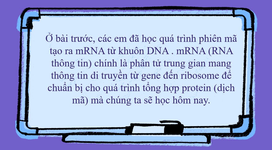 tro choi khtn 9 bai 40 3*912519