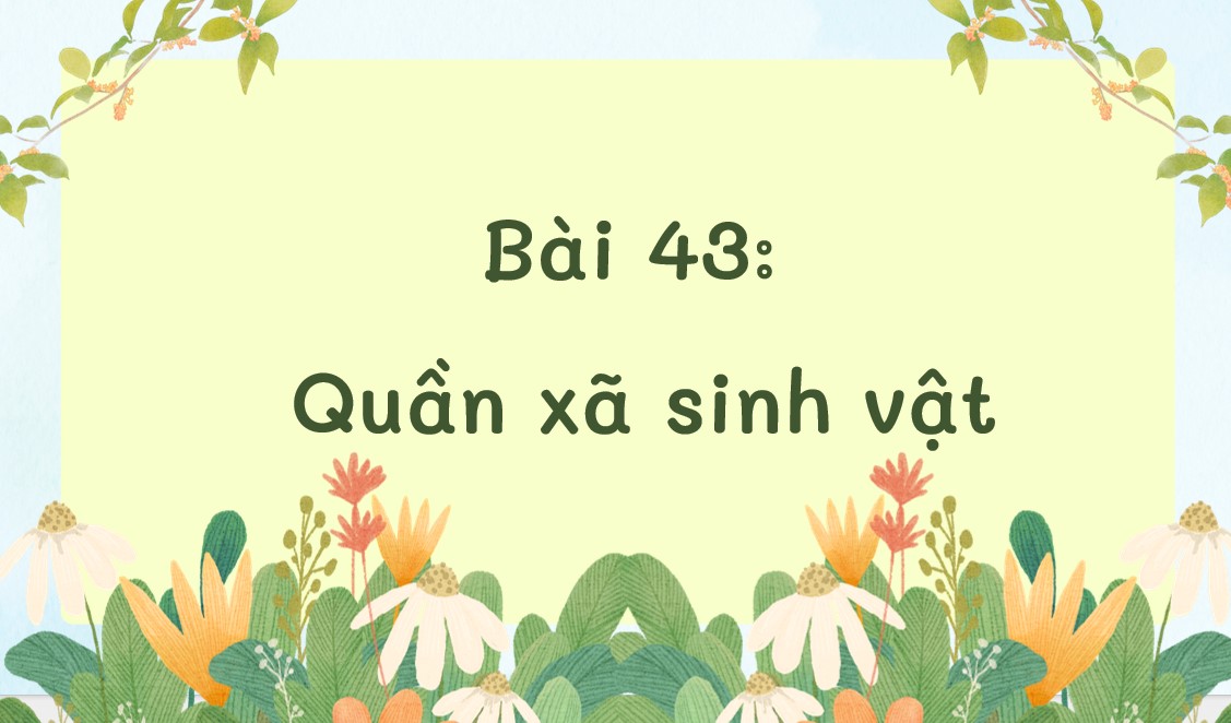 tro choi khtn8 b43*912951