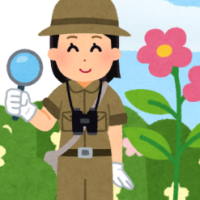 Video mở đầu Tự nhiên và xã hội 2 (AI)