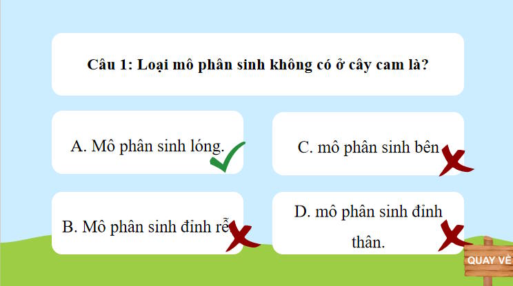 Game khởi động Khoa học tự nhiên lớp 7 Bài 36