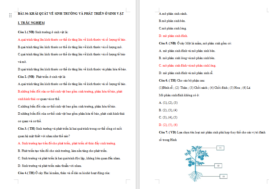 Game khởi động Khoa học tự nhiên lớp 7 Bài 36