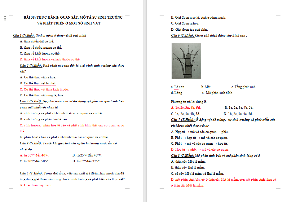 Game khởi động Khoa học tự nhiên lớp 7 Bài 38