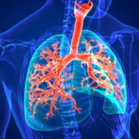 Giáo án Tự nhiên và xã hội 2 Bài 24: Chăm sóc, bảo vệ cơ quan hô hấp