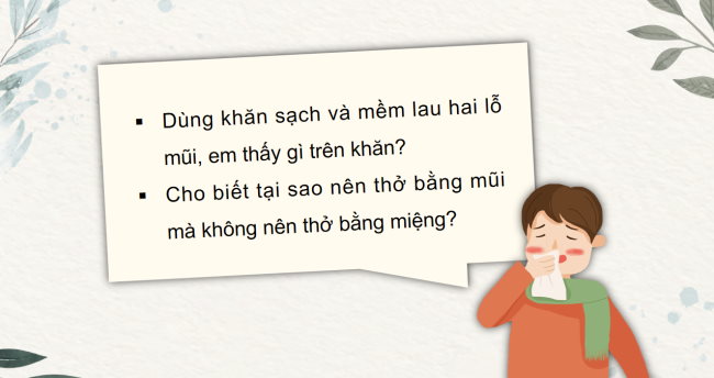 PowerPoint Tự nhiên và xã hội 2 Bài 24: Chăm sóc, bảo vệ cơ quan hô hấp