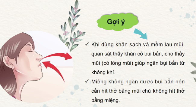 PowerPoint Tự nhiên và xã hội 2 Bài 24: Chăm sóc, bảo vệ cơ quan hô hấp