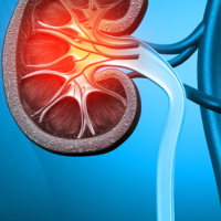 Giáo án Tự nhiên và xã hội 2 Bài 25: Tìm hiểu cơ quan bài tiết nước tiểu