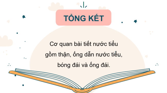 PowerPoint Tự nhiên và xã hội 2 Bài 25: Tìm hiểu cơ quan bài tiết nước tiểu