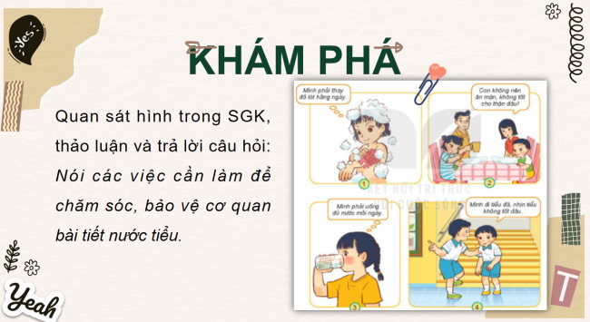 PowerPoint Tự nhiên và xã hội 2 Bài 26: Chăm sóc, bảo vệ cơ quan bài tiết nước tiểu