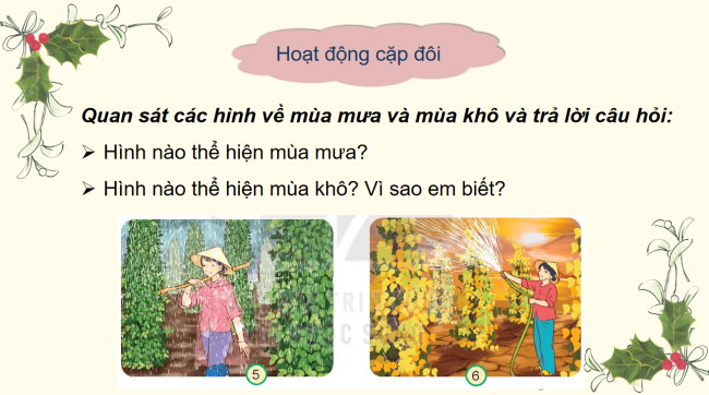PowerPoint Tự nhiên và xã hội 2 Bài 28: Các mùa trong năm