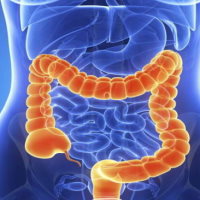 Giáo án Tự nhiên và xã hội 3 Bài 15: Cơ quan tiêu hóa