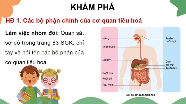 PowerPoint Tự nhiên và xã hội 3 Bài 15: Cơ quan tiêu hóa