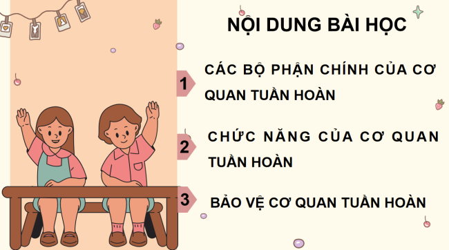 PowerPoint Tự nhiên và xã hội 3 Bài 16: Cơ quan tuần hoàn