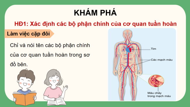 PowerPoint Tự nhiên và xã hội 3 Bài 16: Cơ quan tuần hoàn