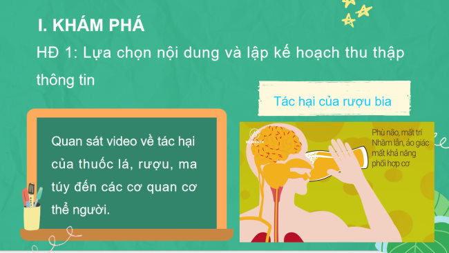 PowerPoint Tự nhiên và xã hội 3 Bài 19