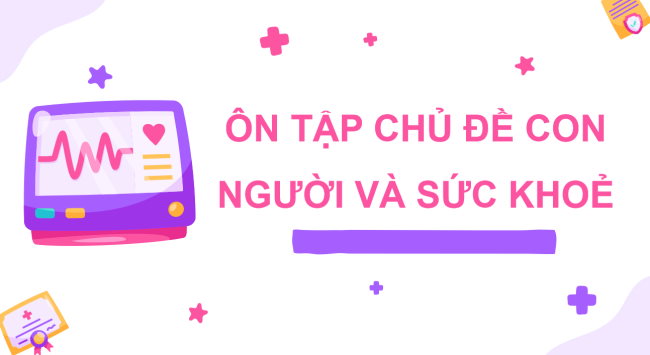 PowerPoint Tự nhiên và xã hội 3 Ôn tập Chủ đề con người và sức khỏe