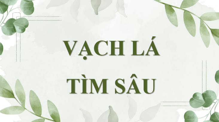 Toan 8 Bai 21 1*915862