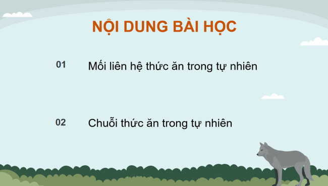 PowerPoint Khoa học 4 Bài 30: Chuỗi thức ăn trong tự nhiên