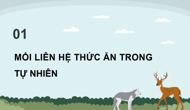 PowerPoint Khoa học 4 Bài 30: Chuỗi thức ăn trong tự nhiên