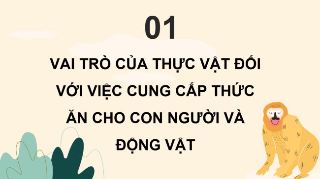 PowerPoint Khoa học 4 Bài 31: Vai trò của thực vật trong chuỗi thức ăn