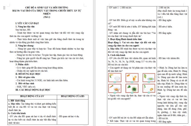 Giáo án Khoa học 4 Bài 31: Vai trò của thực vật trong chuỗi thức ăn