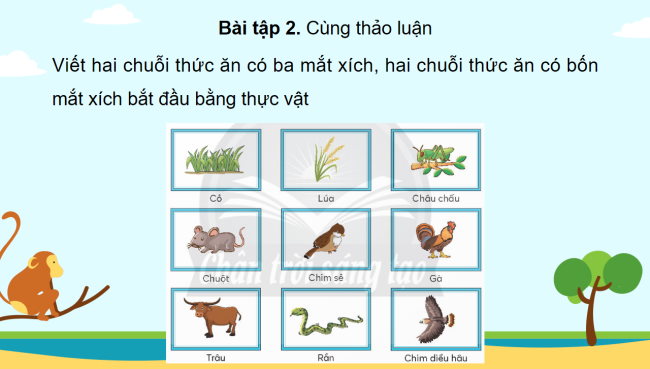PowerPoint Khoa học 4 Bài 32: Ôn tập chủ đề Sinh vật và môi trường