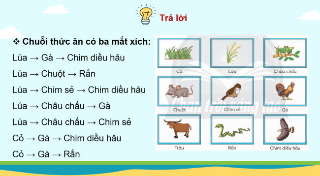 PowerPoint Khoa học 4 Bài 32: Ôn tập chủ đề Sinh vật và môi trường
