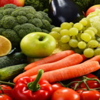 Giáo án Tự nhiên và xã hội 3 Bài 18: Sử dụng hợp lý thực vật và động vật