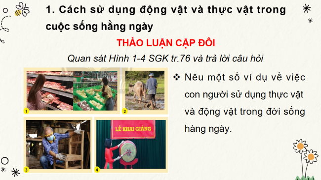 PowerPoint Tự nhiên và xã hội 3 Bài 18: Sử dụng hợp lý thực vật và động vật