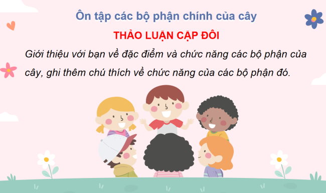 PowerPoint Tự nhiên và xã hội 3 Bài 19: Ôn tập chủ đề thực vật và động vật