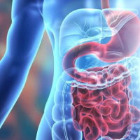 Giáo án Tự nhiên và xã hội 3 Bài 20: Cơ quan tiêu hóa