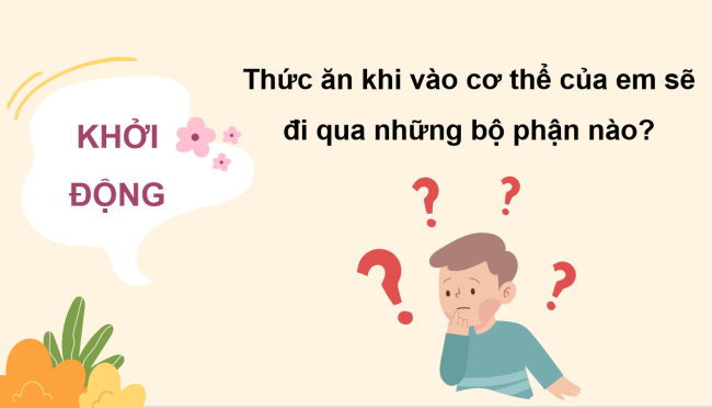 PowerPoint Tự nhiên và xã hội 3 Bài 20: Cơ quan tiêu hóa