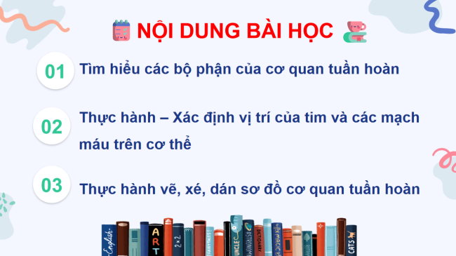 PowerPoint Tự nhiên và xã hội 3 Bài 21: Cơ quan tuần hoàn