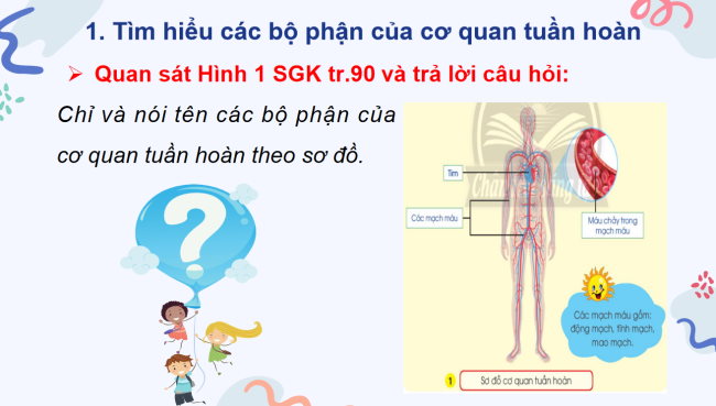 PowerPoint Tự nhiên và xã hội 3 Bài 21: Cơ quan tuần hoàn