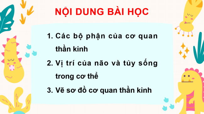 PowerPoint Tự nhiên và xã hội 3 Bài 22: Cơ quan thần kinh