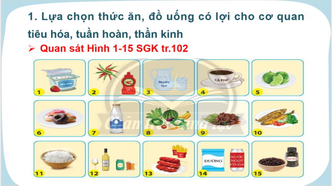 PowerPoint Tự nhiên và xã hội 3 Bài 23